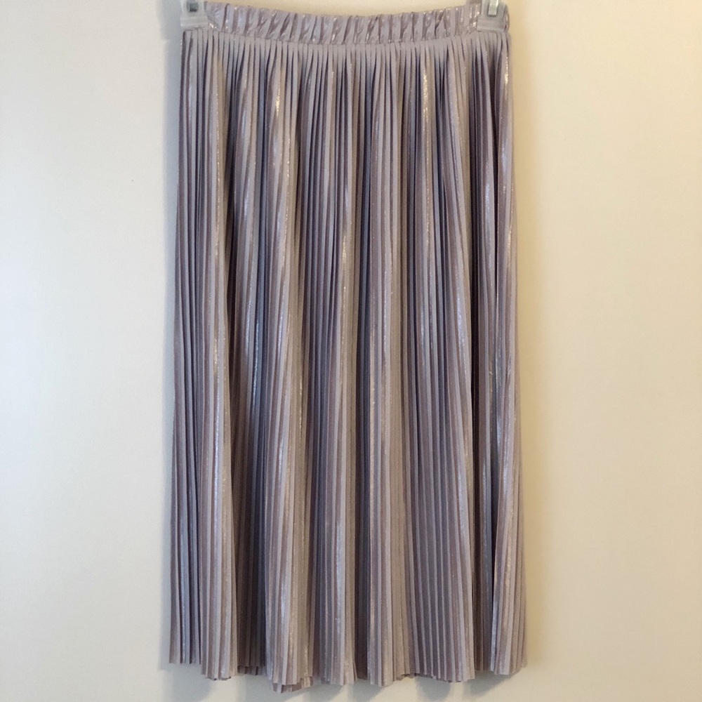 Zara: Metallic Pleated Skirt